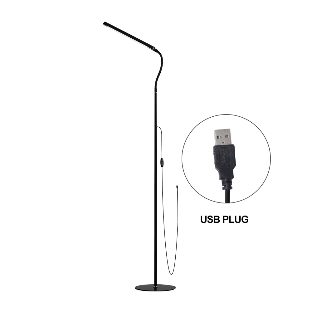 12V USB Plug LED Floor Lamp - Modern Lighting Solution